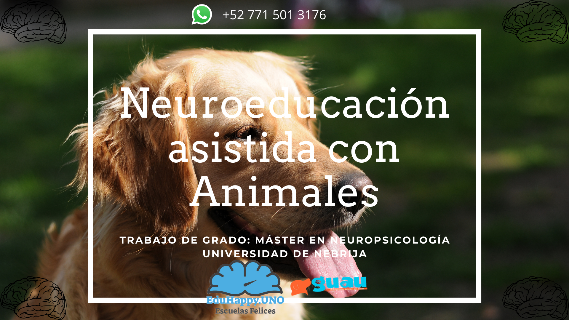Neuroeducación asistida con Animales